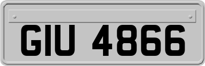 GIU4866