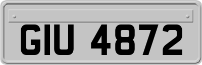 GIU4872