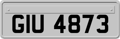 GIU4873