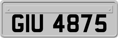 GIU4875