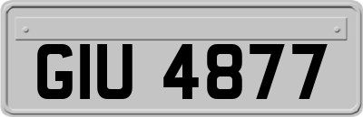 GIU4877