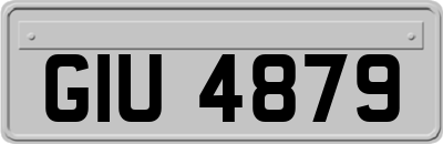 GIU4879