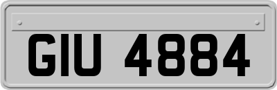 GIU4884