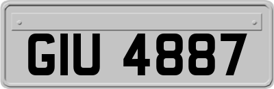 GIU4887