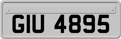 GIU4895