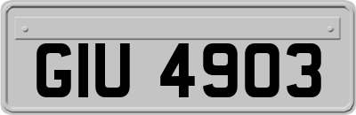 GIU4903