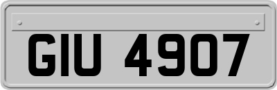 GIU4907