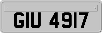 GIU4917