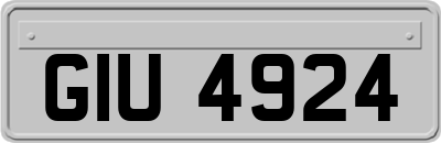 GIU4924