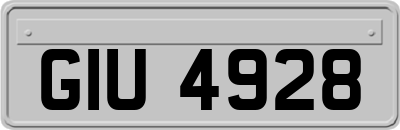 GIU4928