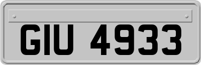 GIU4933