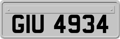 GIU4934