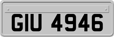 GIU4946