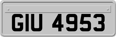 GIU4953