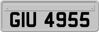 GIU4955