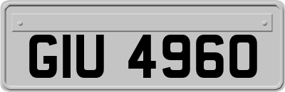 GIU4960