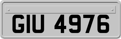 GIU4976