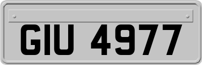 GIU4977