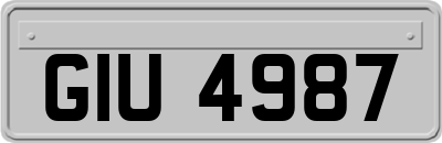 GIU4987