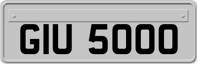 GIU5000