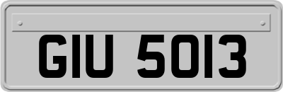 GIU5013