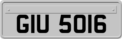 GIU5016