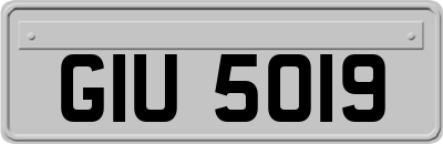 GIU5019