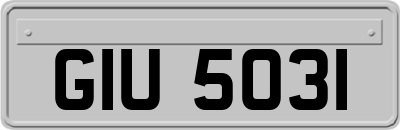 GIU5031