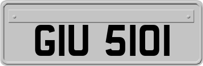 GIU5101