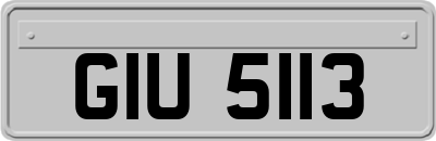 GIU5113