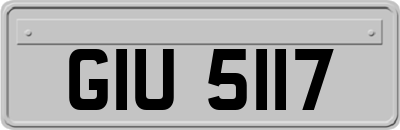 GIU5117