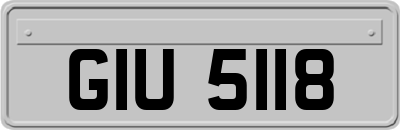 GIU5118