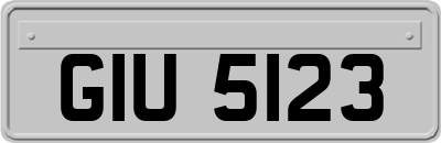 GIU5123