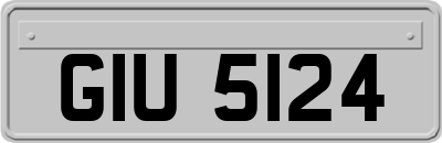 GIU5124