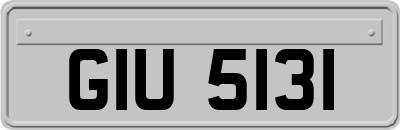 GIU5131