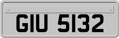 GIU5132
