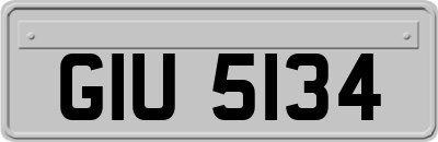 GIU5134
