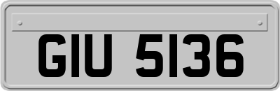 GIU5136