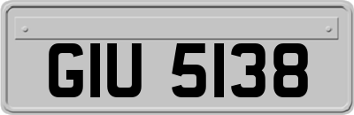 GIU5138