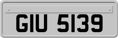GIU5139