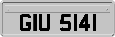 GIU5141