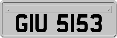 GIU5153
