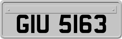 GIU5163