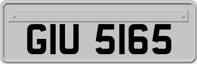 GIU5165