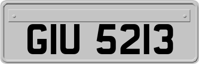 GIU5213