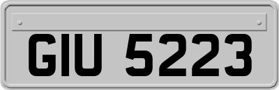 GIU5223