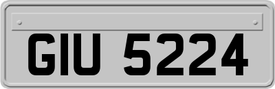 GIU5224