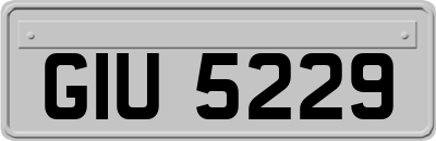 GIU5229