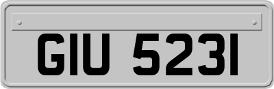 GIU5231