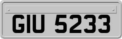 GIU5233